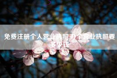 免费注册个人营业执照,办个营业执照要多少钱