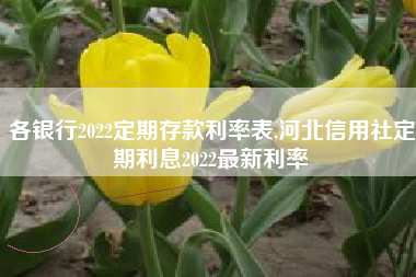 各银行2022定期存款利率表,河北信用社定期利息2022最新利率