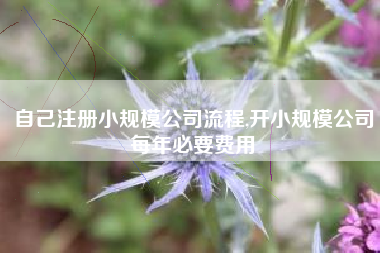 自己注册小规模公司流程,开小规模公司每年必要费用