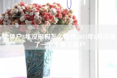 个体户8年没报税怎么处罚,2021年8月注册了一个个体工商户