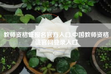 教师资格证报名官方入口,中国教师资格证官网登录入口