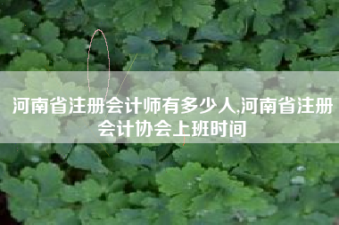 河南省注册会计师有多少人,河南省注册会计协会上班时间