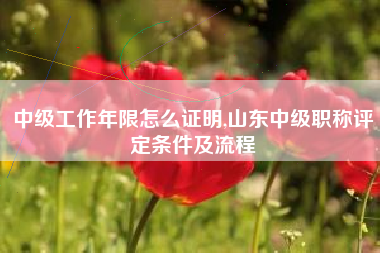 中级工作年限怎么证明,山东中级职称评定条件及流程