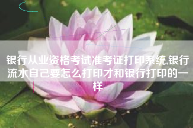 银行从业资格考试准考证打印系统,银行流水自己要怎么打印才和银行打印的一样