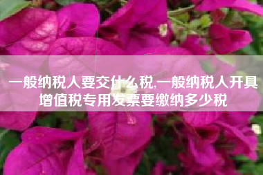 一般纳税人要交什么税,一般纳税人开具增值税专用发票要缴纳多少税