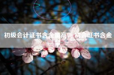 初级会计证书含金量高吗,初会证书含金量