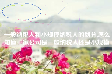 一般纳税人和小规模纳税人的划分,怎么知道一家公司是一般纳税人还是小规模