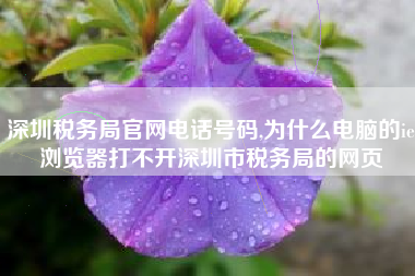 深圳税务局官网电话号码,为什么电脑的ie浏览器打不开深圳市税务局的网页