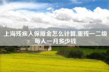 上海残疾人保障金怎么计算,重残一二级每人一月多少钱