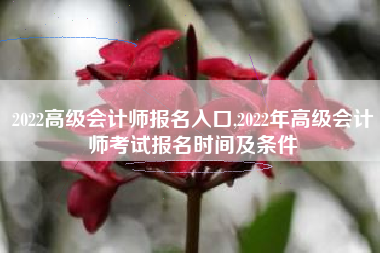 2022高级会计师报名入口,2022年高级会计师考试报名时间及条件