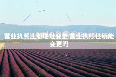营业执照注册地址变更,营业执照住所能变更吗