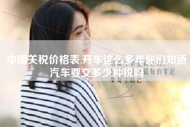 中国关税价格表,开车这么多年你们知道汽车要交多少种税吗