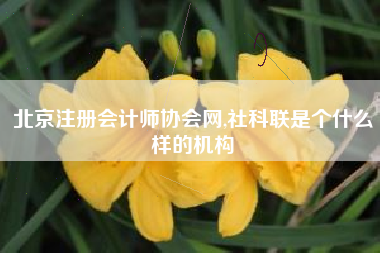 北京注册会计师协会网,社科联是个什么样的机构