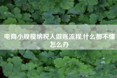 电商小规模纳税人做账流程,什么都不懂怎么办
