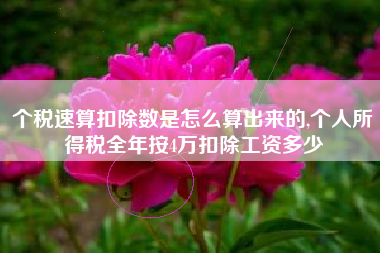 个税速算扣除数是怎么算出来的,个人所得税全年按4万扣除工资多少