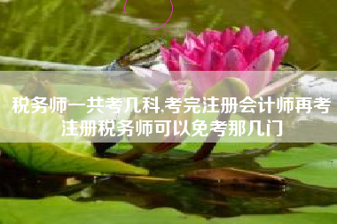 税务师一共考几科,考完注册会计师再考注册税务师可以免考那几门