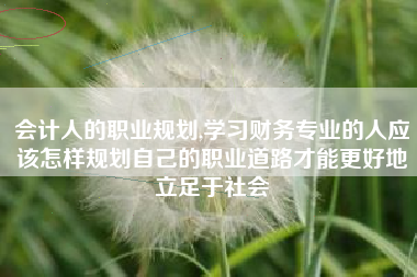 会计人的职业规划,学习财务专业的人应该怎样规划自己的职业道路才能更好地立足于社会