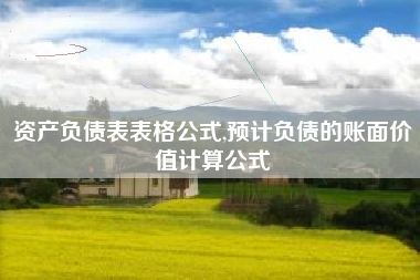 资产负债表表格公式,预计负债的账面价值计算公式
