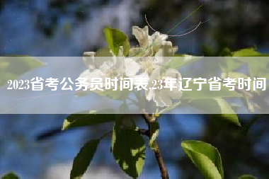 2023省考公务员时间表,23年辽宁省考时间