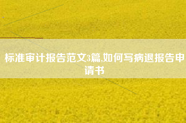 标准审计报告范文3篇,如何写病退报告申请书