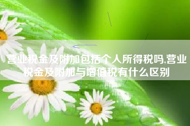 营业税金及附加包括个人所得税吗,营业税金及附加与增值税有什么区别