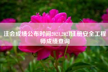 注会成绩公布时间2021,2021注册安全工程师成绩查询