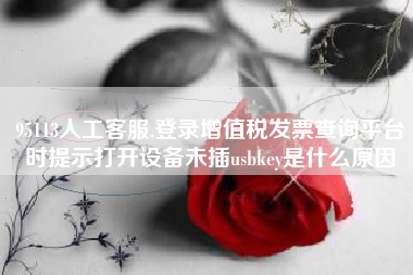 95113人工客服,登录增值税发票查询平台时提示打开设备未插usbkey是什么原因