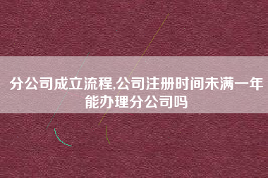 分公司成立流程,公司注册时间未满一年能办理分公司吗