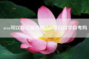 acca可以自己报名吗,acca可以自学自考吗