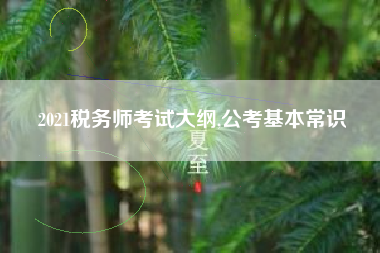 2021税务师考试大纲,公考基本常识