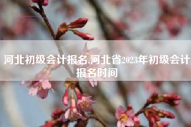 河北初级会计报名,河北省2023年初级会计报名时间