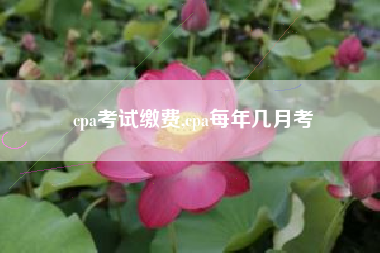 cpa考试缴费,cpa每年几月考