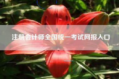 注册会计师全国统一考试网报入口