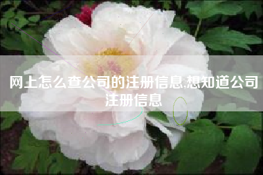 网上怎么查公司的注册信息,想知道公司注册信息