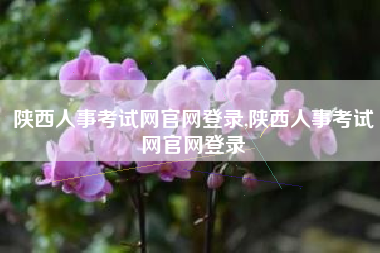 陕西人事考试网官网登录,陕西人事考试网官网登录