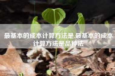 最基本的成本计算方法是,最基本的成本计算方法是品种法