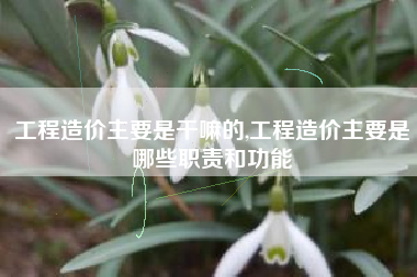 工程造价主要是干嘛的,工程造价主要是哪些职责和功能