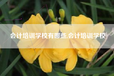 会计培训学校有哪些,会计培训学校