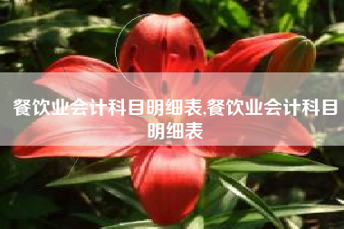 餐饮业会计科目明细表,餐饮业会计科目明细表