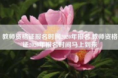 教师资格证报名时间2020年报名,教师资格证2020年报名时间马上到来
