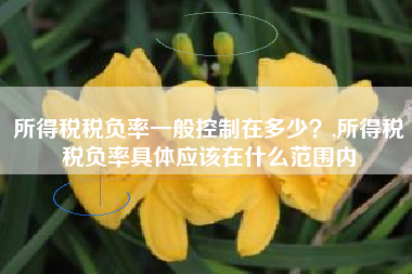 所得税税负率一般控制在多少？,所得税税负率具体应该在什么范围内