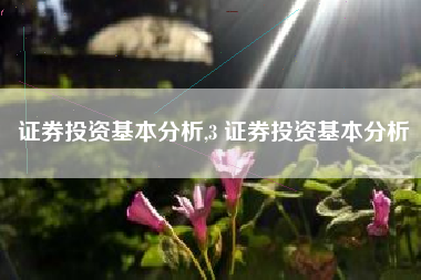 证券投资基本分析,3 证券投资基本分析