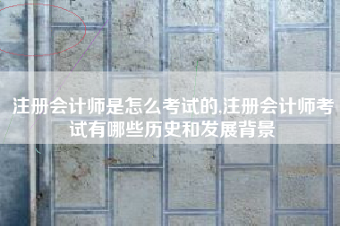 注册会计师是怎么考试的,注册会计师考试有哪些历史和发展背景