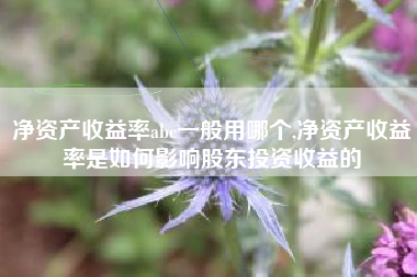 净资产收益率abc一般用哪个,净资产收益率是如何影响股东投资收益的