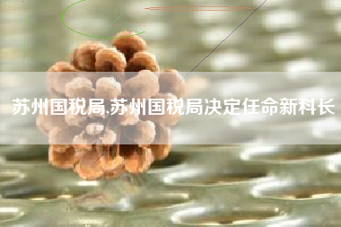 苏州国税局,苏州国税局决定任命新科长