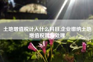 土地增值税计入什么科目,企业缴纳土地增值税如何处理