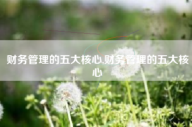 财务管理的五大核心,财务管理的五大核心