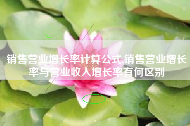 销售营业增长率计算公式,销售营业增长率与营业收入增长率有何区别