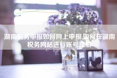 湖南税务申报如何网上申报,如何在湖南税务网站进行账号注册