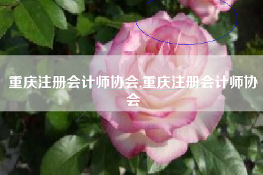 重庆注册会计师协会,重庆注册会计师协会